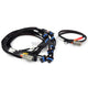 Haltech Nexus Universal V8 - Ign-1A Ford Harness Harnesses & Adapters