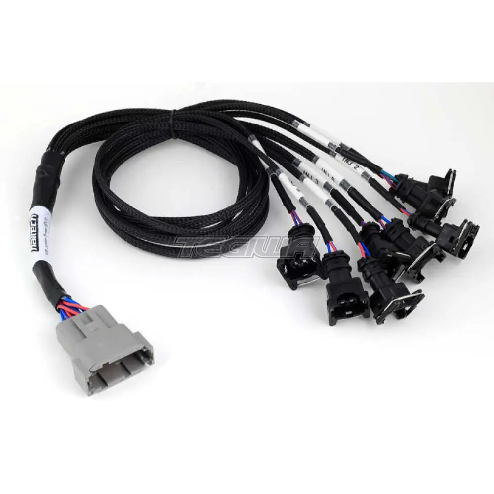 Haltech Nexus Universal V8 - Junior Timer (Ev1) Injector Primary Breakout Harnesses & Adapters