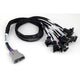 Haltech Nexus Universal V8 - Junior Timer (Ev1) Injector Primary Breakout Harnesses & Adapters