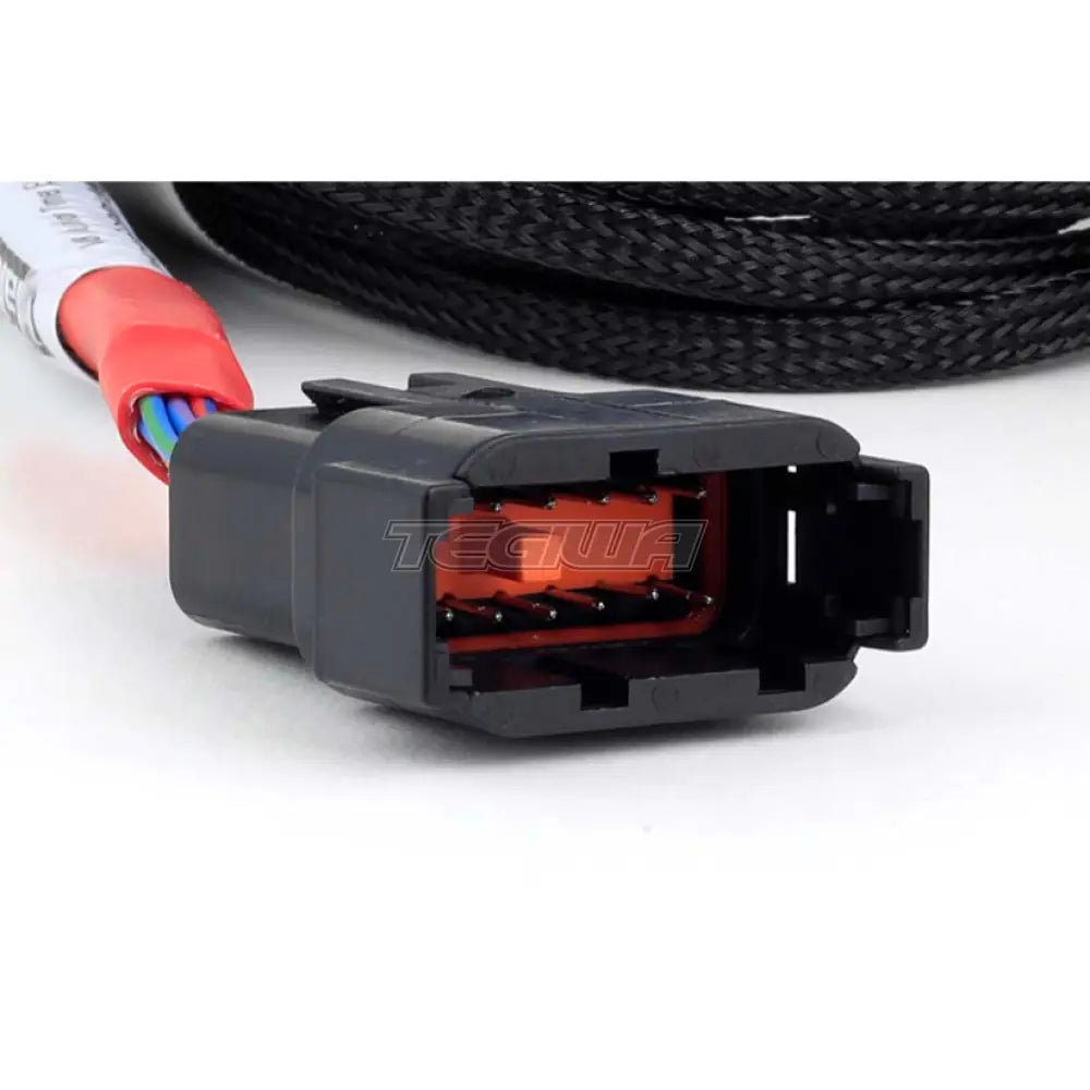 Haltech Nexus Universal V8 - Junior Timer (Ev1) Injector Secondary Breakout Harnesses & Adapters