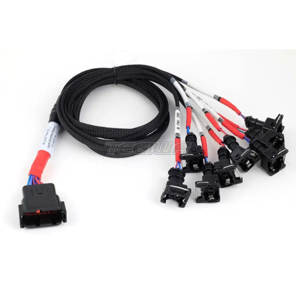 Haltech Nexus Universal V8 - Junior Timer (Ev1) Injector Secondary Breakout Harnesses & Adapters