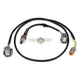 Haltech NTK Wideband Hardware Pack