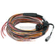 Haltech Pd16 Flying Lead Harness - 5M Harnesses & Adapters