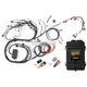 Haltech RB Twin CAM Elite 2500 ECU Main Harness CAS Breakout Early Ignition