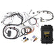 Haltech RB Twin CAM Elite 2500 ECU Main Harness CAS Breakout Late Ignition