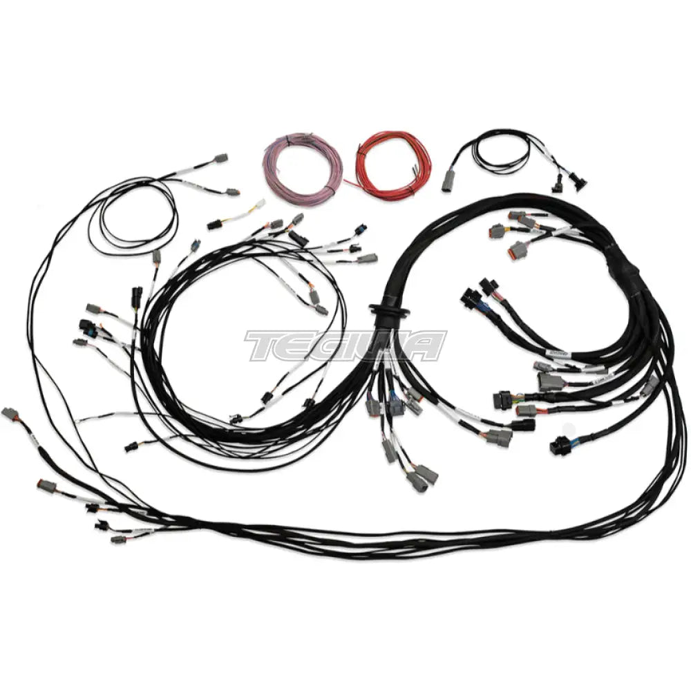Haltech Universal V8 Terminated Engine Harness For Nexus R5 Vcu Harnesses & Adapters