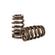 Kelford Cams Beehive Valve Spring Set Holden ECOTEC V6