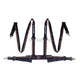 Mugen 4 Point Harness Seatbelt - Harnesses