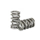 Kelford Cams Dual Valve Spring 180lb Set of 16 Chevrolet LS1 V8