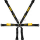 Schroth 6 Point 2X2 Oem Porsche 991/981 Enduro Harness Harnesses