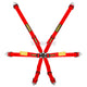 Schroth 6 Point 3X2 Enduro Harness Red Harnesses
