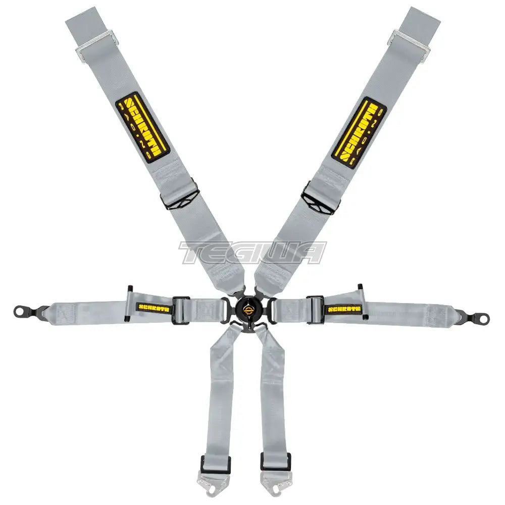 Schroth 6 Point 3X2 Oem Porsche 991 Harness Silver Harnesses