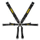 Schroth 6 Point 3X2 Porsche 981 Profi Harness Black Harnesses