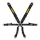 Schroth 6 Point Profi Harness Black Harnesses