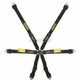 Schroth Fhr 6 Point 2X2 Enduro Harness Black Harnesses