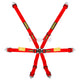 Schroth Fhr 6 Point 2X2 Enduro Harness Red Harnesses