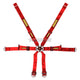 Schroth Fhr 6 Point 2X2 Oem Porsche 991 Profi Harness Red Harnesses