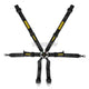 Schroth Fhr 6 Point 2X2 Oem Porsche 996/997 Profi Harness Black Harnesses