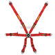 Schroth Fhr 6 Point 2X2 Profi Harness Red Harnesses