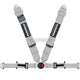 Schroth Profi Ii-Fe Asm Lightweight 4 Point Professional Harness Silver / Left Harnesses