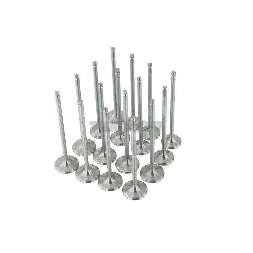 Skunk2 Alpha Series Valves Stock Size Standard Compression Honda D-Series