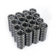 Skunk2 Alpha Valve Springs Honda D-Series