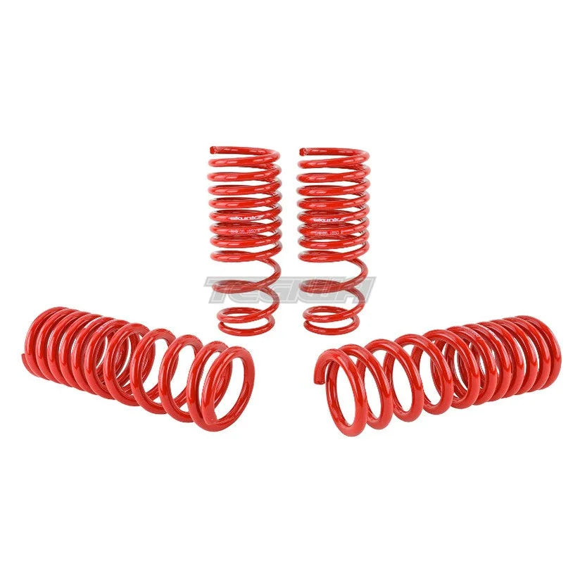 Skunk2 Lowering Springs Honda Civic CRX EF 88-91
