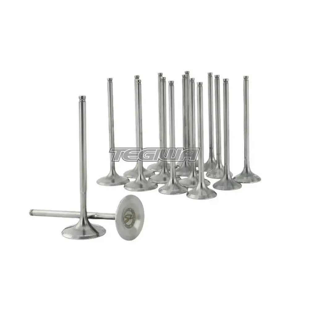 Skunk2 Ultra Series Valves Stock Size Standard Compression Valves Honda B-Series - CLEARANCE SALE Cams & Valvetrain
