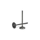 Supertech 39.00Mm (Std) Black Nitrided Intake Valve Volkswagen/Audi Cams & Valvetrain
