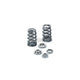 Supertech Beehive Valve Spring And Retainer Kit Subaru Ej255 65Lbs At 36Mm Cams & Valvetrain