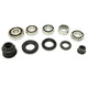Synchrotech Bearing and Seal Kit Honda Accord 92-02 Synchros & Rebuild Kits