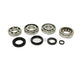 Synchrotech Bearing and Seal Kit Honda Civic D17 SOHC SLW 01-05 Synchros & Rebuild Kits