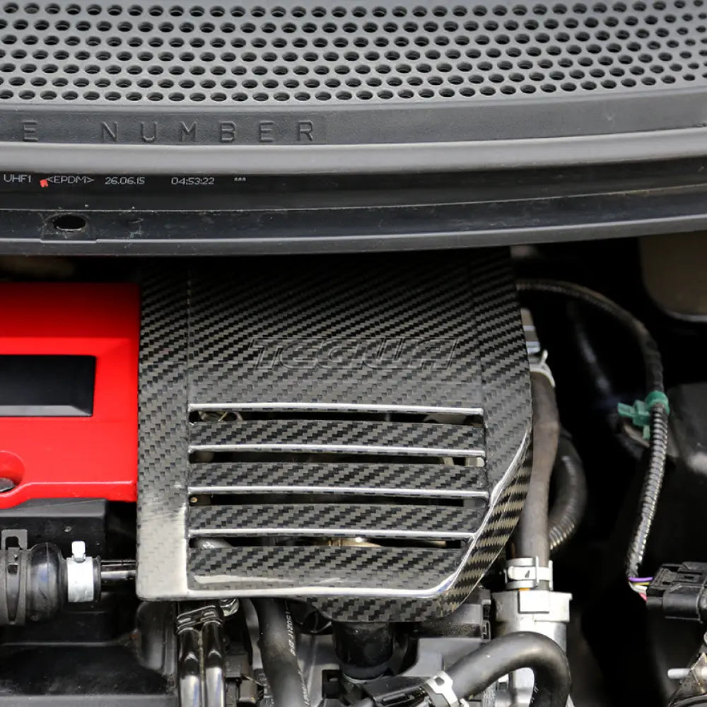 Tegiwa Carbon Fibre Engine Cover HONDA Honda Civic Type R FK2 15-17