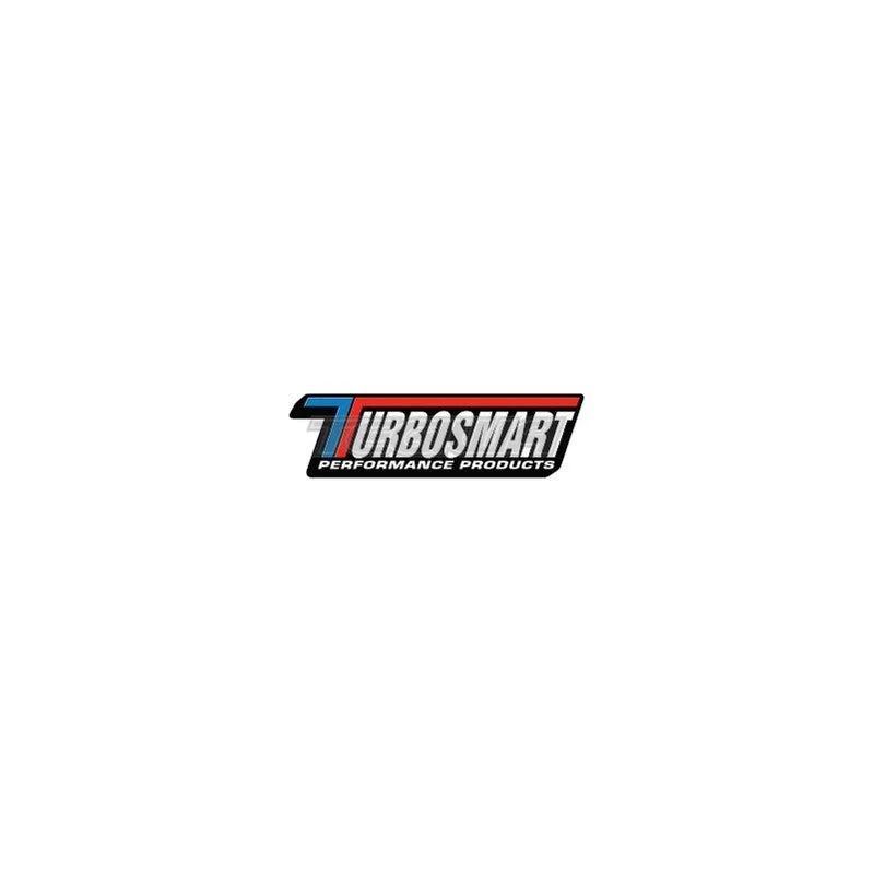 TurboSmart FPR Fuel Filter Replacement 10um