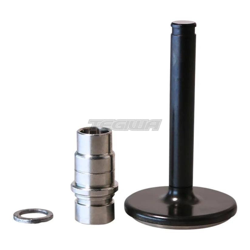 TurboSmart Gen4 WG45 Valve + Guide Replacement