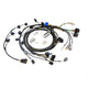 KPower Universal RWD K-Swap Engine Harness For Haltech Elite 1500